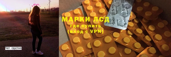 индика Карталы