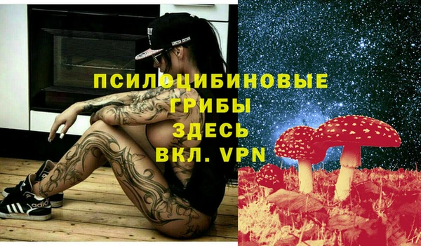 индика Карталы