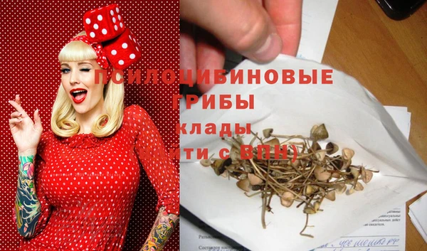 индика Карталы
