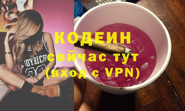 индика Карталы