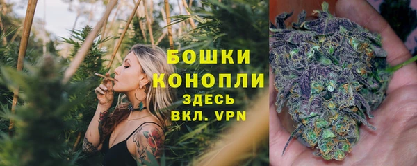 шишки Касимов