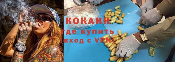 шишки Касимов