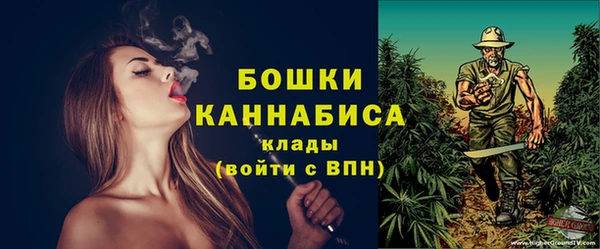 шишки Касимов