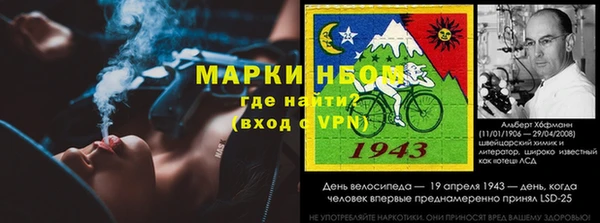 индика Карталы